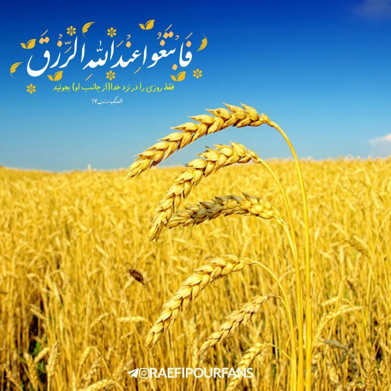 فقط روزی را در نزد خدا(از جانب او) بجوئید.  فَابْتَغُوا عِنْدَ اللَّهِ الرِّزْقَ  عنکبوت | ۱٧🌸  #آیه_گرافی   